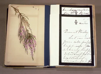 Brief von Königin Victoria (1819-1901) an Zarewitsch Nikolai Alexandrowitsch (1868-1918) 22. April 1894